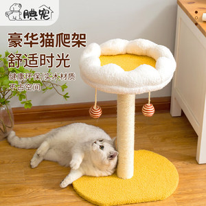 腆宠豪华猫爬架